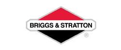 Briggs Stratton